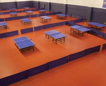  TABLE TENNIS